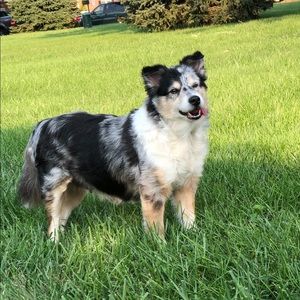 Meet your Posher, Sean